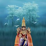 Venkatachalam Raj